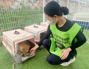대구한의대  반려동물보건학과, 의성 산불 피해지역 반려동물 보호활동 참여
