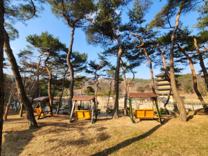 김천시시설관리공단, 사명대사공원 흔들그네형 퍼걸러 설치
