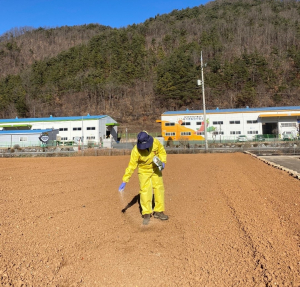 경북농업기술원, 정식 전ㆍ후 해충관리…고추바이러스 매개충 방제 철저
