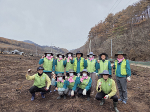 칠곡교육청, 산불피해 농장 복구 ‘구슬땀’