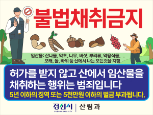 경산시, 봄철 산림 내 불법행위 집중단속
