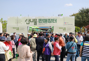 관광으로 회복, 다시 도약하는 경북