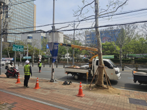 대구공공시설관리공단, 도심 주요도로 LED 가로등 교체공사 실시