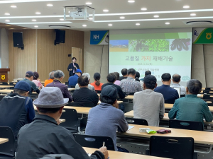 상주시농기센터, 고품질 상주가지 생산 전문교육