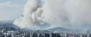 대구 북구 노곡동 산불 발생
