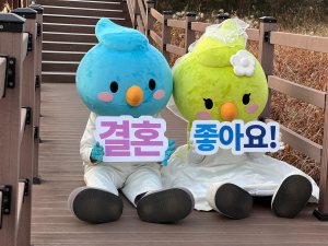 달서구, 달달한 연애ㆍ결혼 사연 공모전