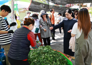 “청정 산나물 맛보러 영양군으로 오이소”