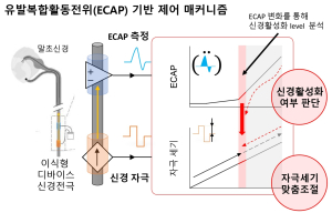 POSTECH=한양대 공동 연구팀, 경골신경자극 통해 배뇨장애 잡는 첨단 기술 개발