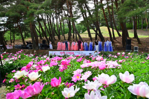 작약과 선율 흐드러진 경주 서악마을