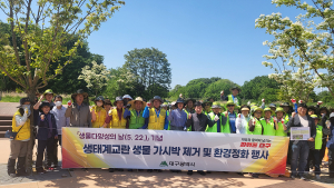 대구시, 달성습지 생태계교란 생물 가시박 퇴출