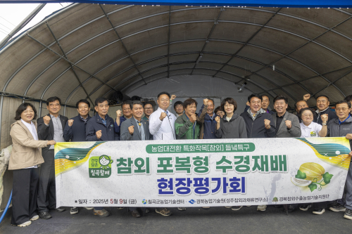 칠곡군, 땅이 아닌 물로 키운 이색 참외
