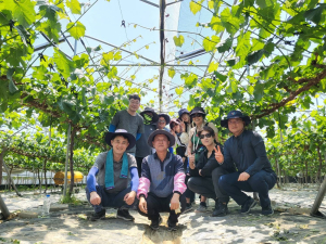 김천시 문화홍보실, 인력 부족 농가 일손 돕기