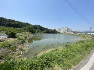 청도군,  맨발걷기길 조성 지원사업 공모 선정