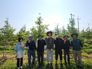 김천시 남면 직원, 농촌 일손 돕기