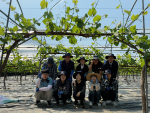 김천시 대항면, 농촌 일손 부족 돕기