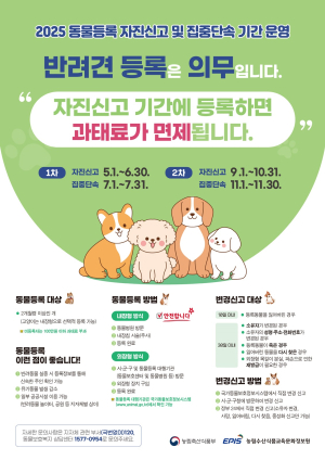 영주시, 6월까지 동물등록 자진신고 기간 운영