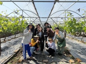 김천시 대신동, 농번기 농촌일손돕기 ‘구슬땀’