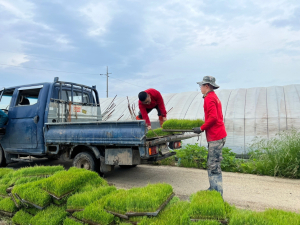 포항시, 농촌 일손돕기 해병대 장병 7000명 동원