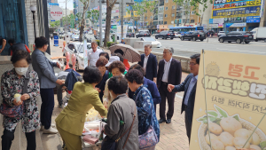 고령 개진감자영농조합법인, 동대구농협서 직판ㆍ홍보행사
