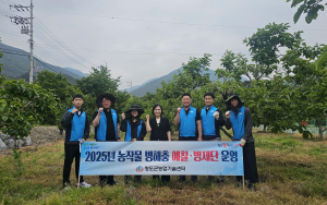 청도군, 과수 돌발해충 정밀 예찰활동  실시