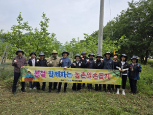 포항시 북구 산업과, 사과 농가 일손돕기 팔 걷어