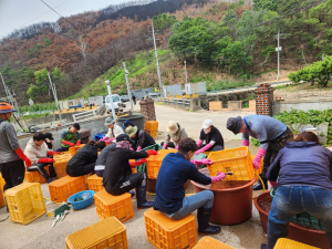 영덕군 재무과, 산불 피해 농가 일손 돕기