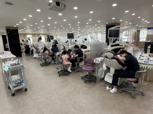 포항대학교 치위생과, 부속유치원 치과 체험프로그램 운영
