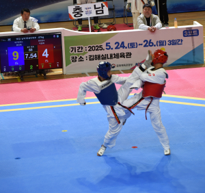 제54회 전국소년체육대회 ‘태권도’ 대구 효자종목