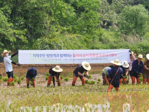 대구환경청, 문경 돌리네 습지서 전통  손모내기 체험행사 개최