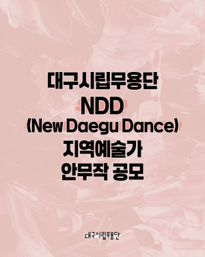 뉴 대구 댄스 지역예술가 안무작 공모