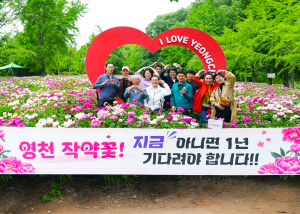 영천 작약밭 개방 행사 성료… 시민 발길 이어지며 지역에 활력 불어넣다