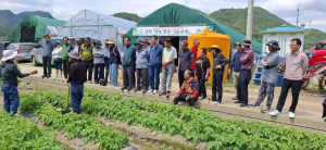울진농업기술센터, 감자농가 기술 교육
