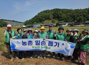 군위 우보면 새마을회, 농촌 일손 돕기