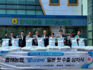 포항 쌀 ‘삼광벼’ 인기폭발…또 일본행