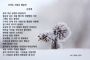 사진이 주는 따뜻함 위에 詩의 감성