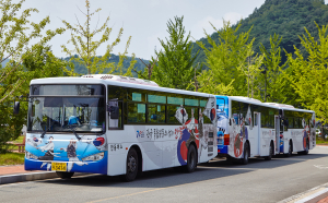 안동시, 다음달부터 70세 이상 어르신  ‘대중교통 무료승차’ 시행