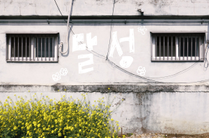 달성문화도시센터, ‘청춘문화방 - 사는 게 참, 꽃 같네’ 성료