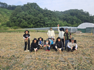 김천시 구성면, 양파 재배 농가 일손 돕기 활동