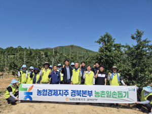 농협경제지주 경북본부,  농촌 일손돕기 실시