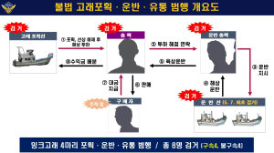 포항해경, 밍크고래 불법포획 일당 ‘덜미’