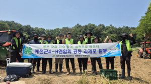 예천군 4-H 연합회, 공동 과제포 감자 수확