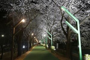 상주시, 북천 산책로 쿨링포그 시스템 가동