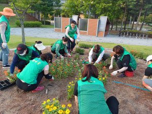 김천시 율곡동 새마을남녀지도자회, 안산공원 화단 재정비