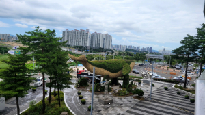 포항시, APEC 손님맞이 도시경관 조성 나선다