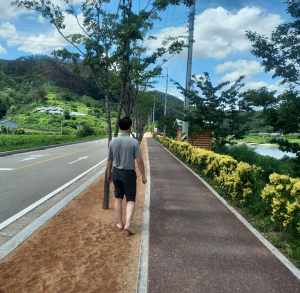 영덕 오십천변 따라 여름밤 힐링산책 어때