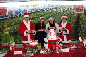 경북농기원 ‘싼타딸기’ 홍보