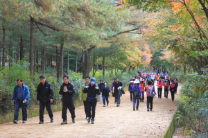 제10회 문경산악체전 개최
