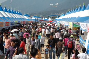 풍기인삼축제, 문화관광 ‘우수축제’