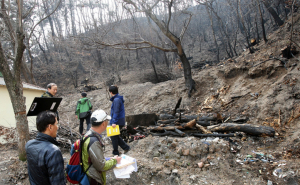 산불피해지 ‘산림휴양 경관림’ 조성