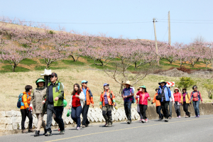 제2회 경산농산물사랑 복사꽃길 걷기대회‘성료’